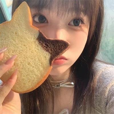 夫妻市长